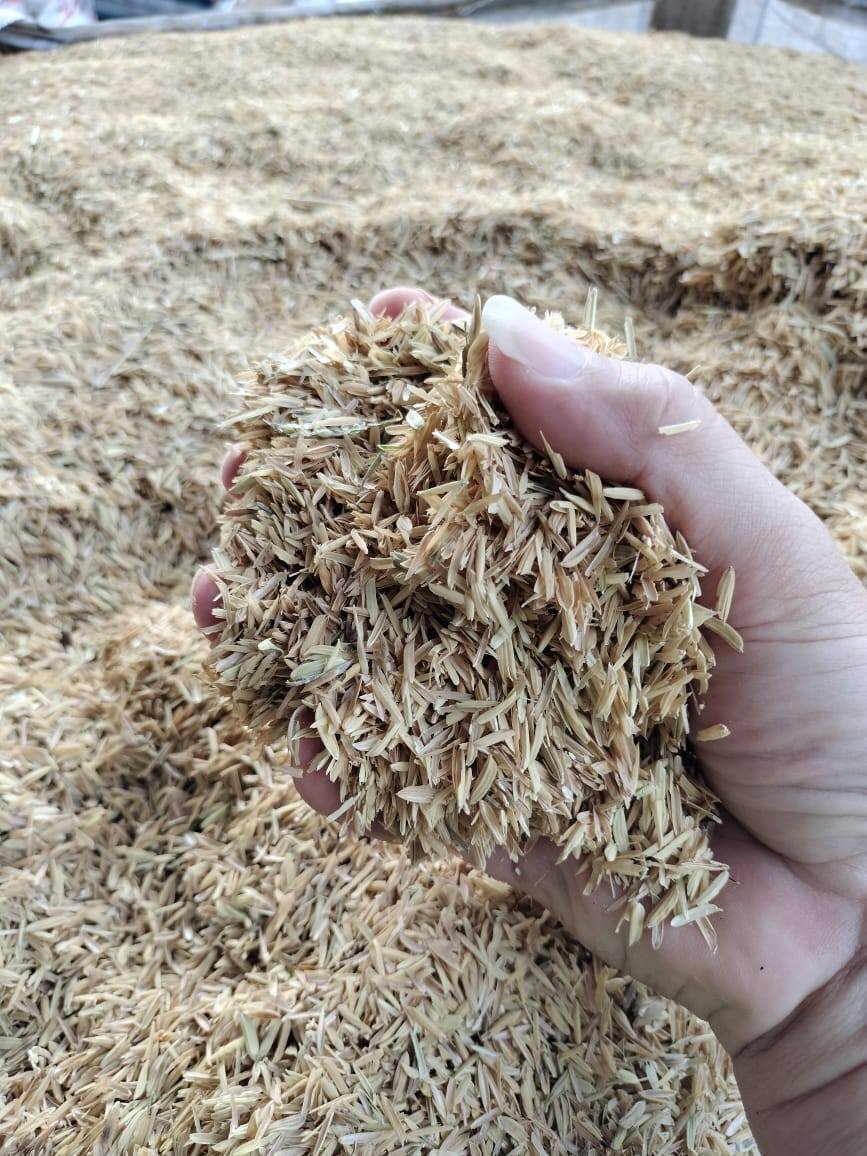 RICE HUSK POWDER MALAYSIA