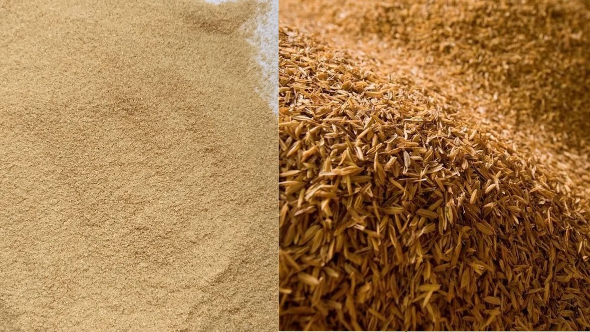 rice husk powder